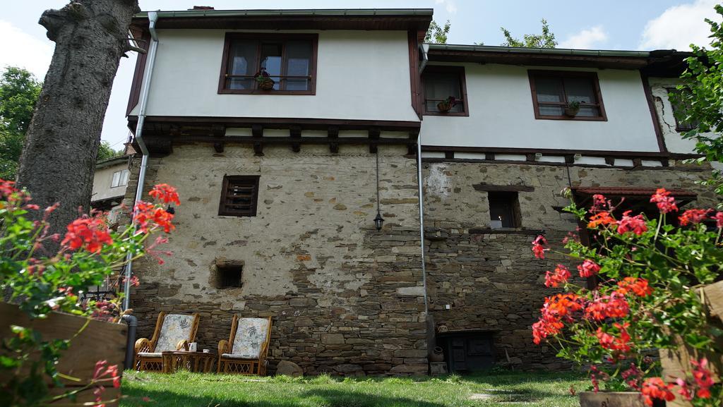 Pisanata House Villa Dedovo Exteriör bild